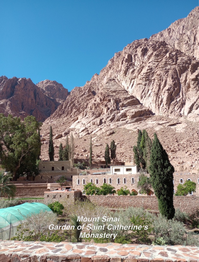 2023/2023-Holy-Land-Adventure/Day-1-Cairo-to-Mount-Sinai/640x480_2023-04-13 08 Mount Sinai St Catherine's garden.jpg